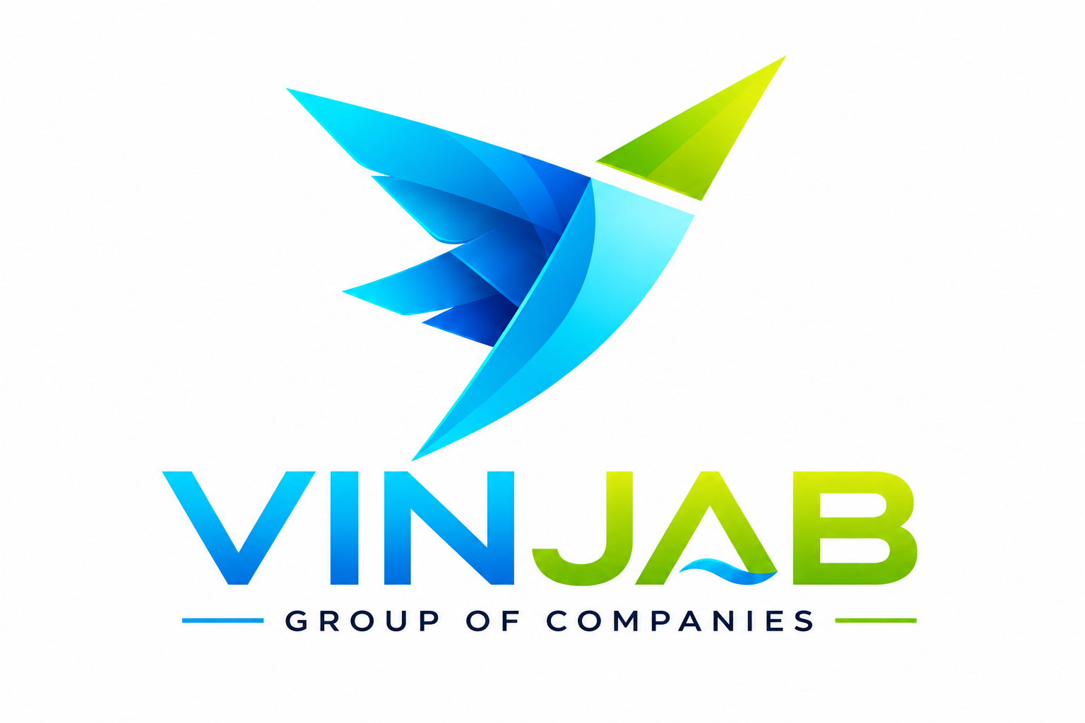 VINJAB Group of Companies